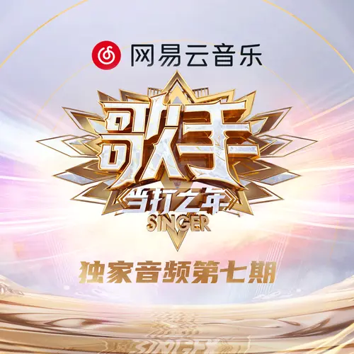 有可能的夜晚(live)