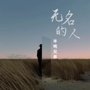 无名的人(DJ版)