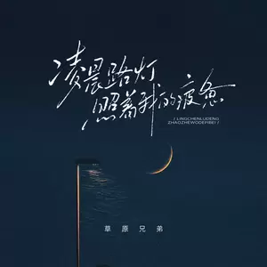 凌晨路灯照着我的疲惫(DJ魅音版)