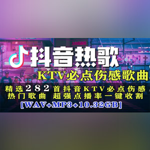 【歌单推荐】精选282首抖音KTV必点伤感热门歌曲 超强点播率一键收割[10.32GB]