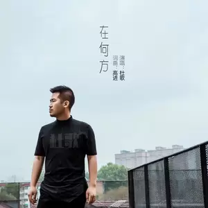 在何方（DJ版）(其他)