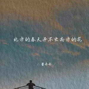 北方的春天开不出南方的花(深情女生版)