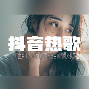盘点2023年度150首刷屏全网的抖音爆火歌单一键Get年度回忆录[5.71GB]