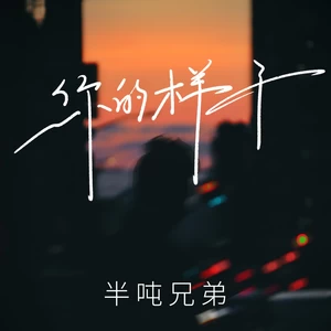 你的样子