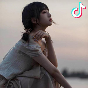 【无损】抖音爆火36首情歌只想表达我好想你 可见不了面的那种情感[1.33G]