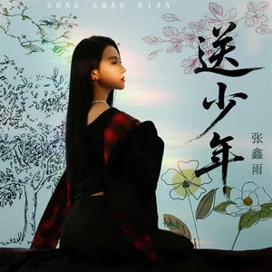 送少年(DJ九零版)