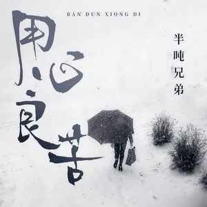用心良苦(DJ九零版)