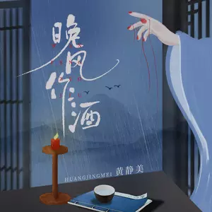 晚风作酒(DJ Eva版)