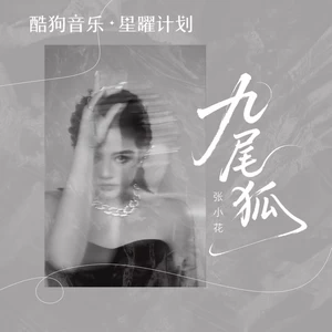 九尾狐(DJ秋豪版)