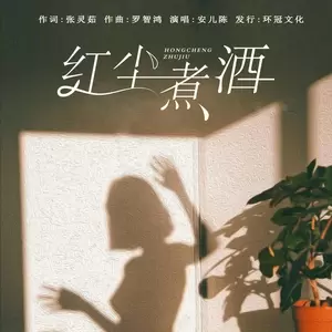 红尘煮酒(DJ彭锐版)