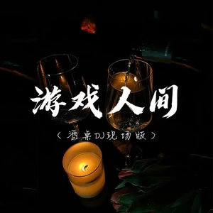 游戏人间(酒桌DJ现场版)