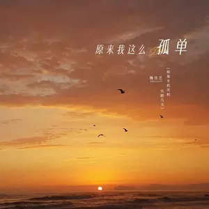 原来我这么孤单
