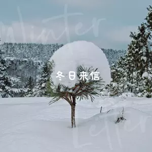 某年冬季