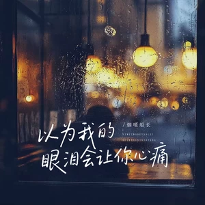以为我的眼泪会让你心痛(DJ阿尼版)