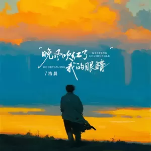 晚风吹红了我的眼睛