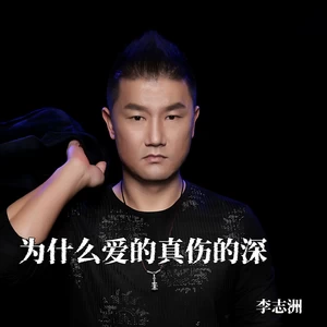 为什么爱的真伤的深-DJ沈浪版(Remix)