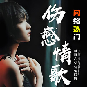 【网红伤感】盘点网络热门伤感情歌180首，述说不眠夜里的孤单心事[7.42GB]