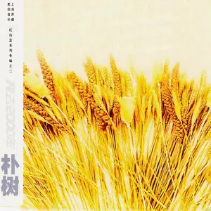 那些花儿