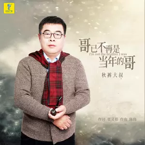 哥已不再是当年的哥（DJ何鹏版）