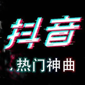 【抖音网红篇】一人一首网红成名曲整合500首无损歌曲每一首都曾是热搜榜神曲[WAV+19.9GB]