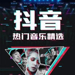 盘点2020-2024抖音爆红歌曲无损音质共431首，首首令人如痴如醉[WAV+MP3+15.3GB]