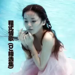 不再联系(Dj版)