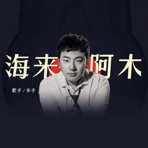 【海来阿木】精选94首无损音乐经典歌曲作品，每首都旋律优美动听[4GB]