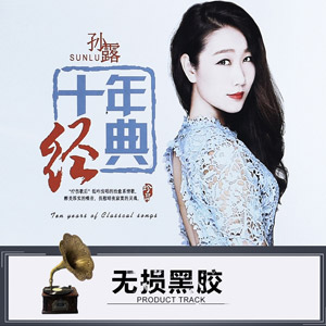 孙露十年经典黑胶光盘hifi发烧翻唱歌曲348首高保真车载无损音乐[18.2GB]