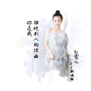 你是我拒绝别人的理由(DJ默涵版)
