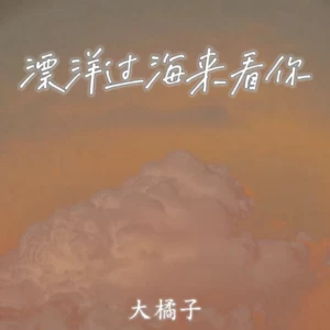 漂洋过海来看你