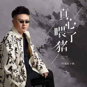 真心喂了猪(DJ长梦版)