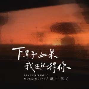 下辈子如果我还记得你(治愈版)