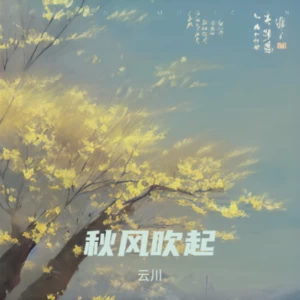 秋风吹起 (总是莫名的难过) (cover: 实在好玩)
