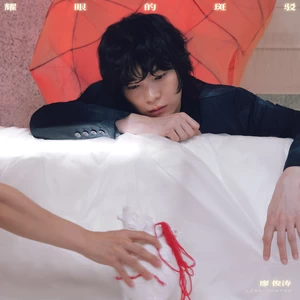 笨鸟传