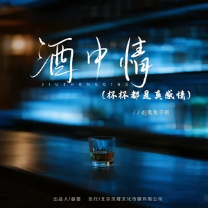 酒中情（DJ默涵版）