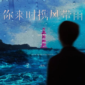 你来时携风带雨(烟嗓男版)