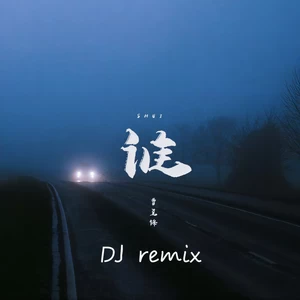 谁(dj阿衡remix)