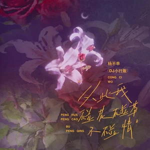 从此我碰花碰草不碰情(DJ小行版)