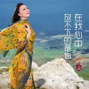 在我心中放不下的是你