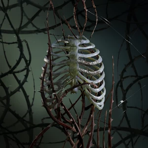 沟壑
