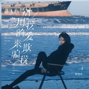 别用我的爱来欺骗我(女版)