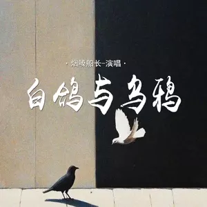 白鸽与乌鸦