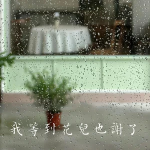 我等到花儿也谢了（迷失的歌）