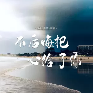 不后悔把心给了你