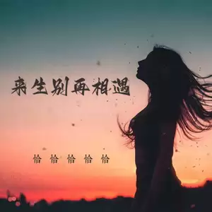 来生别再相遇(DJ默涵女版)