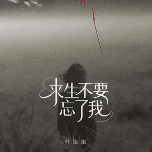 来生不要忘了我（男声版）