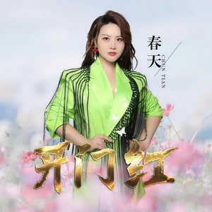 开门红(DJ默涵版)