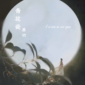 青花瓷 (cover: 群星)