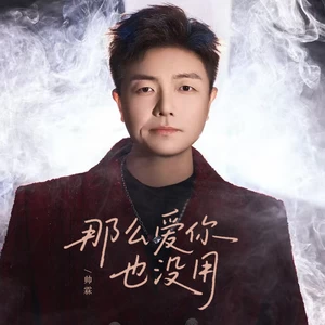 那么爱你也没用