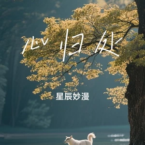 心归处(正式版)